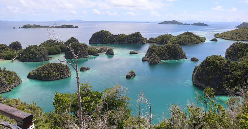 Raja Ampat